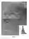 Fig. 05 - Method for synthesizing platinum nanoparticles incorporated on silica