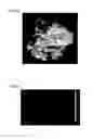 Fig. 07 - Single crystal diamond and diamond tool
