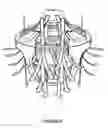Fig. 07 - Centrifugal ceiling fan