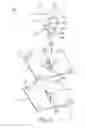 Fig. 07 - Fastening member and device having the same
