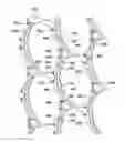 Fig. 01 - Apparatus and methods for supporting an elongated member