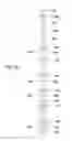 Fig. 22 - Apparatus and methods for supporting an elongated member