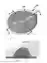 Fig. 06 - LED light-diffusing lens adopting asymmetric free-form surface expression