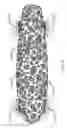 Fig. 08 - Self-illuminating skateboard wheel