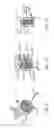 Fig. 09 - Self-illuminating skateboard wheel