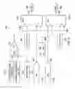Fig. 07 - Controlling refrigeration compression systems