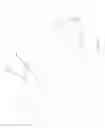 Fig. 53 - Cone grip for handgun