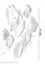 Fig. 07 - Universally configurable holster