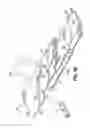 Fig. 12 - Universally configurable holster