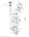 Fig. 02 - Master module light source, retainer and kits