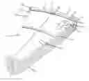 Fig. 01 - Foldable shield