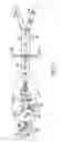 Fig. 02 - Use of vibrational spectroscopy for DNA content inspection