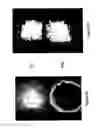Fig. 05 - METHOD AND SYSTEM FOR DETERMINING THE QUALITY OF PHARMACEUTICAL PRODUCTS