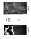 Fig. 07 - METHOD AND SYSTEM FOR DETERMINING THE QUALITY OF PHARMACEUTICAL PRODUCTS