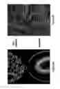Fig. 08 - METHOD AND SYSTEM FOR DETERMINING THE QUALITY OF PHARMACEUTICAL PRODUCTS