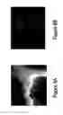 Fig. 10 - METHOD AND SYSTEM FOR DETERMINING THE QUALITY OF PHARMACEUTICAL PRODUCTS