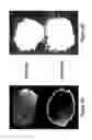 Fig. 11 - METHOD AND SYSTEM FOR DETERMINING THE QUALITY OF PHARMACEUTICAL PRODUCTS
