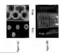 Fig. 15 - METHOD AND SYSTEM FOR DETERMINING THE QUALITY OF PHARMACEUTICAL PRODUCTS