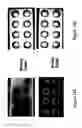 Fig. 16 - METHOD AND SYSTEM FOR DETERMINING THE QUALITY OF PHARMACEUTICAL PRODUCTS