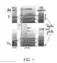 Fig. 02 - Methods and apparatus for optically detecting magnetic resonance