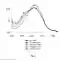 Fig. 04 - Methods and Devices for Analytical Sensing of Biogenic Amines