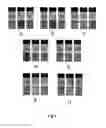 Fig. 07 - Methods and Devices for Analytical Sensing of Biogenic Amines