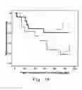 Fig. 02 - METHOD FOR EVALUATING THERAPEUTIC EFFECT OF THALIDOMIDE AND APPLICATION THEREOF