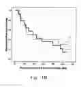 Fig. 03 - METHOD FOR EVALUATING THERAPEUTIC EFFECT OF THALIDOMIDE AND APPLICATION THEREOF