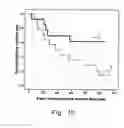 Fig. 04 - METHOD FOR EVALUATING THERAPEUTIC EFFECT OF THALIDOMIDE AND APPLICATION THEREOF