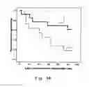 Fig. 08 - METHOD FOR EVALUATING THERAPEUTIC EFFECT OF THALIDOMIDE AND APPLICATION THEREOF