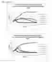 Fig. 09 - Method of evaluating the therapeutic efficacy of bacteriophages