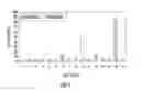 Fig. 02 - Lateral flow device for diagnosing microbial infections
