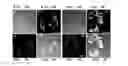 Fig. 10 - METHOD USING FLUORESCENT TURN-ON PROBES FOR CELL-SPECIFIC DETECTION