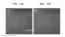 Fig. 27 - METHOD USING FLUORESCENT TURN-ON PROBES FOR CELL-SPECIFIC DETECTION