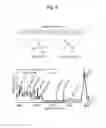 Fig. 07 - Method and apparatus for analyzing biomolecules using Raman spectroscopy