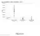 Fig. 13 - Method of Simultaneous Detection of Heparin-Induced Immunoglobulins Types G, A and M