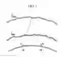 Fig. 02 - METHOD AND APPARATUS FOR EXTRACTING IONOSPHERIC TRACE