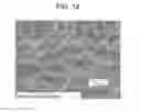 Fig. 13 - MOLD, OPTICAL ELEMENT AND METHOD FOR MANUFACTURING THE SAME