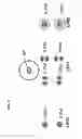 Fig. 03 - Few moded fiber device employing mode conversion