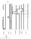 Fig. 10 - DISPLAY APERTURE PIXEL CIRCUIT ARCHITECTURE INCLUDING PLANARIZATION LAYER