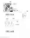 Fig. 16 - WEARABLE DISPLAY APPARATUS