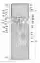 Fig. 01 - Liquid crystal display having improved transmittance and luminance characteristics