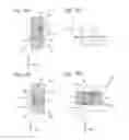 Fig. 10 - Exposure apparatus, exposure method, and device manufacturing method