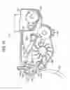 Fig. 12 - Seal, cleaning unit with seal, transfer unit with seal, developing unit with seal, process cartridge with seal, image forming apparatus with seal, and image forming method