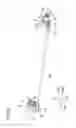 Fig. 31 - Developing cartridge having coupling and developing roller