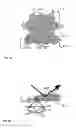 Fig. 10 - Decorative element and security document comprising a decorative element