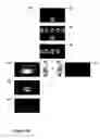 Fig. 07 - Yes or No User-Interface