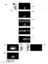 Fig. 09 - Yes or No User-Interface