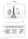Fig. 09 - Mobile terminal and controlling method thereof