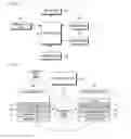Fig. 02 - METHOD AND APPARATUS FOR SUPPLYING IMAGE